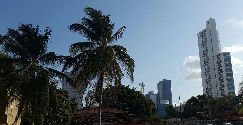 Mediterranean Dreams San Francisco Kota Panama Bagian luar foto